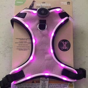 Heart to Tail Pink LED Dog Harness